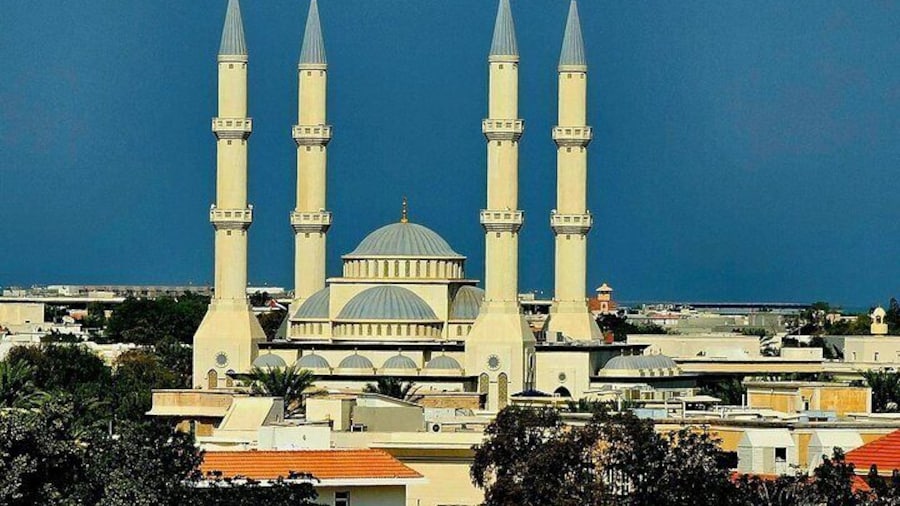 Blue Mosque & Hidden Gems from Dubai City Tour