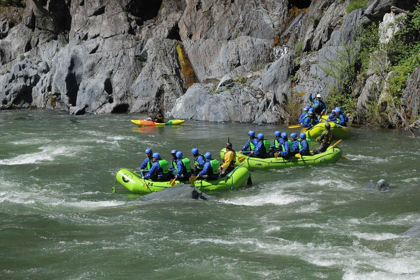 Picture 2 for Activity North Fork American River Whitewater Rafting Class IV
