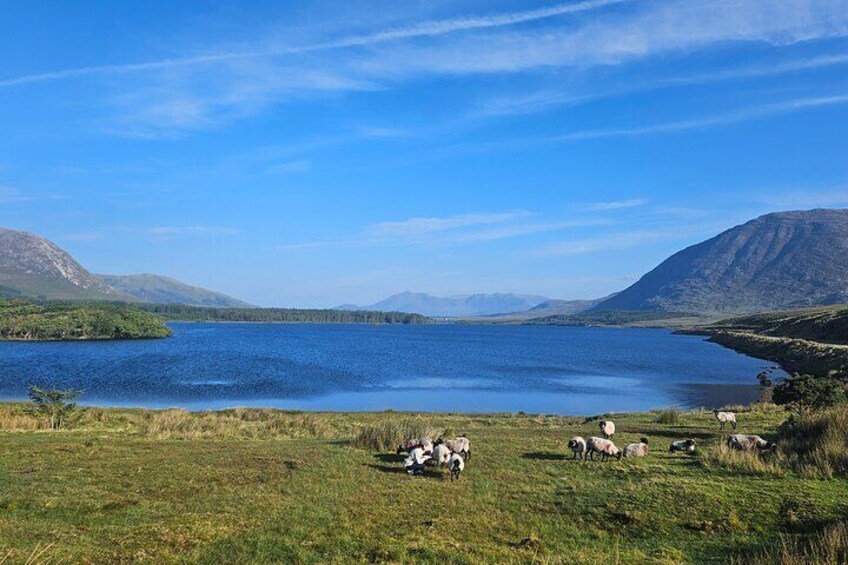 Connemara National Park