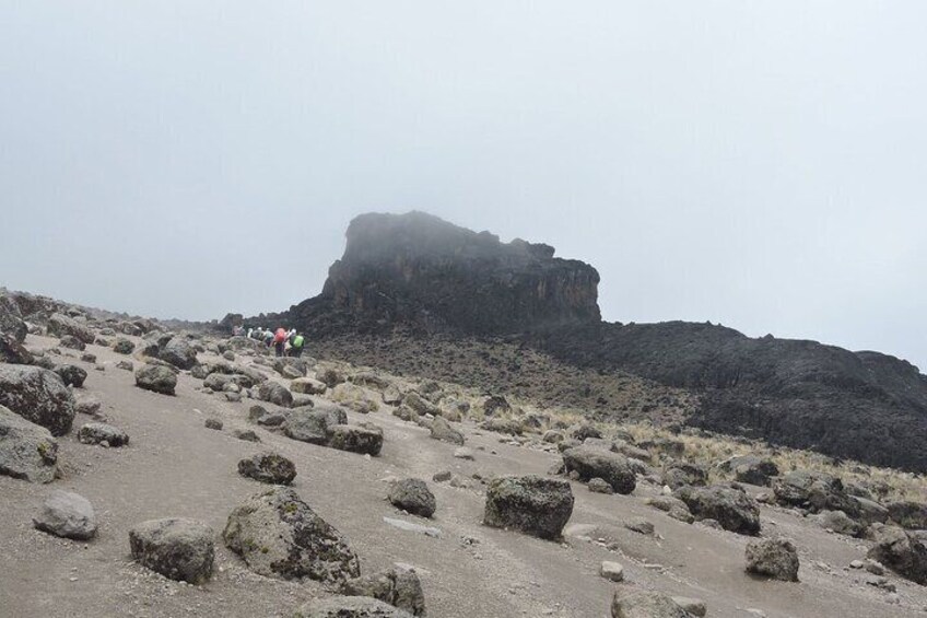 Lava tower