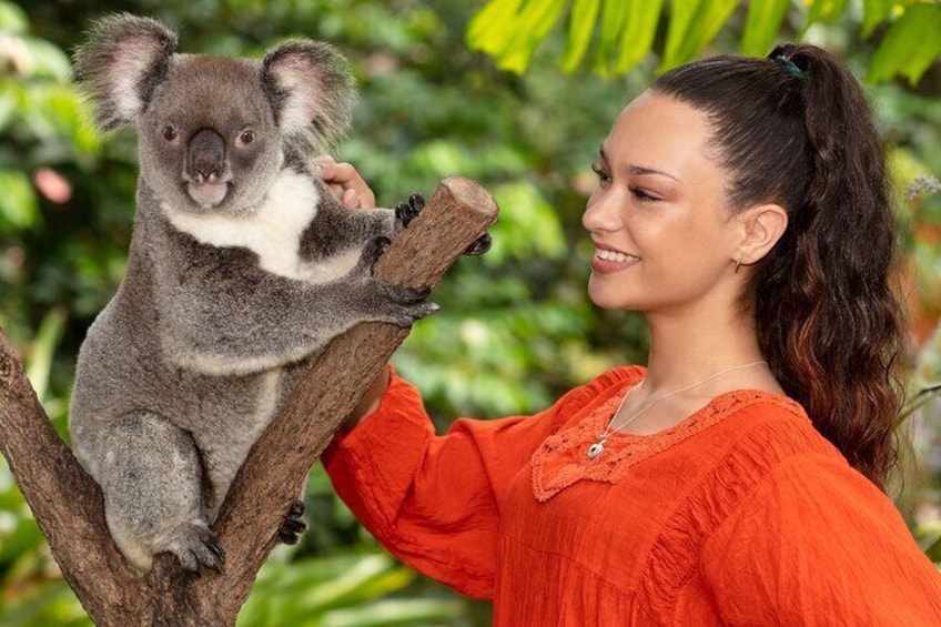 Kuranda Wildlife Experience Deluxe Multi Attraction Pass