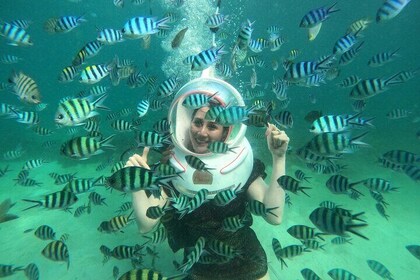 Nha Trang Bay Sea Walk Adventure & Traditional Seafood Lunch