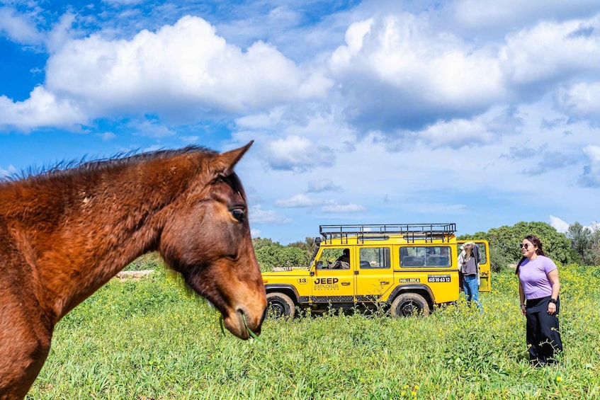 Picture 4 for Activity Mallorca: 4x4 Adventure – Countryside Safari & Ranch BBQ