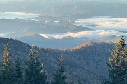 Kuwohi Mountain Great Smoky Mountains Tour
