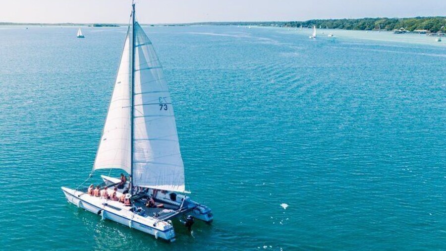 Catamaran Adventure: Navigate the Seven Colors