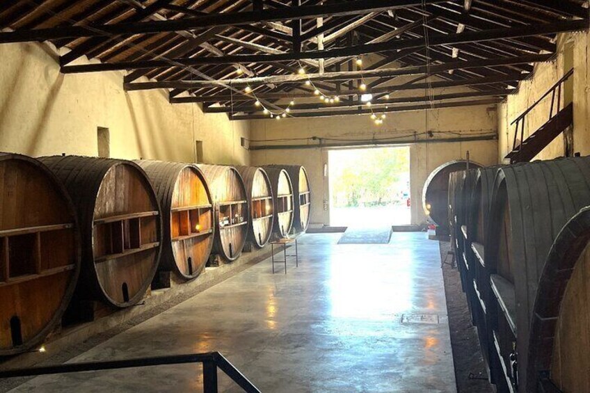 Third stop Winery Armchair visit and tasting 3 wines.