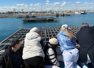 Catamaran trip and visit to the mussel nurseries with a snack