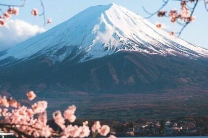 Mount Fuji Sakura Views and Hakone Private Tour