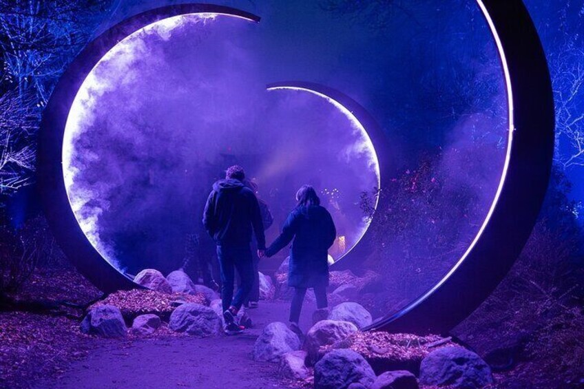 Astra Lumina Night Walk at Currumbin Wildlife Sanctuary