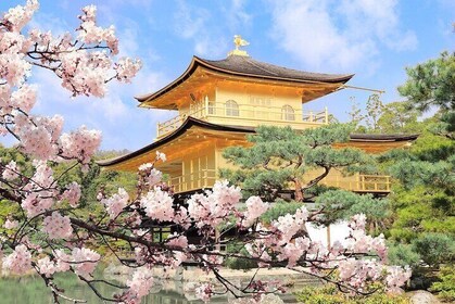 Recorrido por lo más destacado de Osaka y Kioto con experiencia en kimono t...
