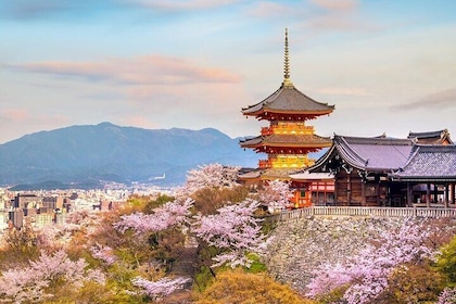 Osaka & Kyoto & Nara Top Hightlights English Speaking Tour