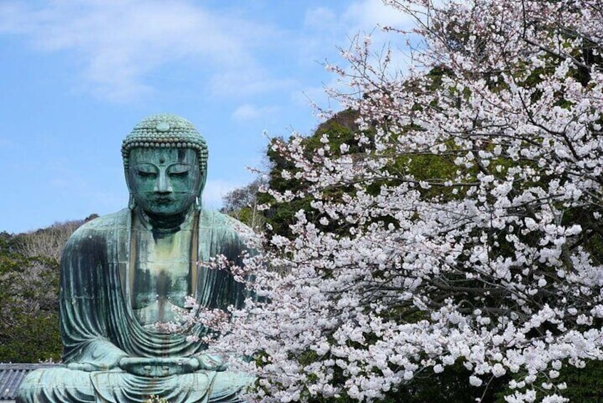 Great Buddha of Kamakura-2