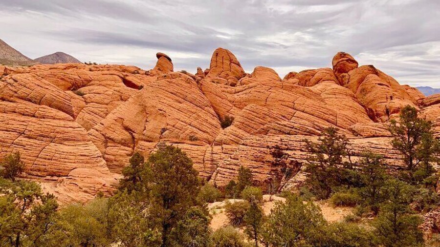 Private Jeep Ride to Explore Slot Canyons and Rock Formations