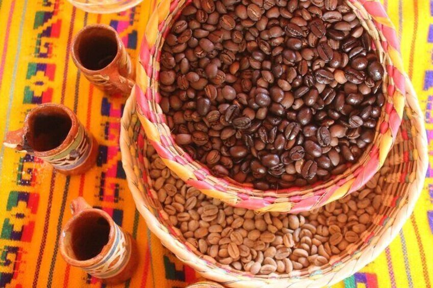 Puerto Vallarta History and Culture with Flavors Discovery
