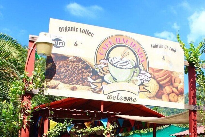Puerto Vallarta History and Culture with Flavors Discovery