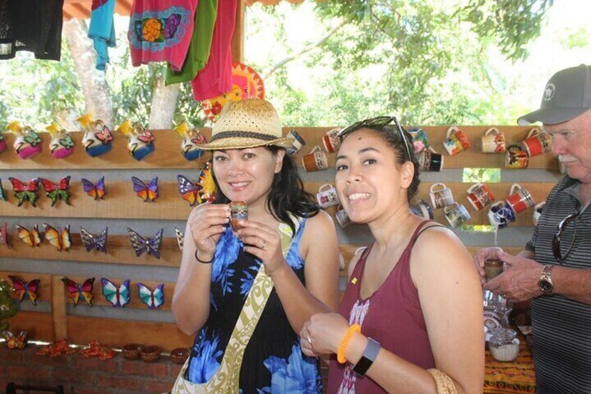 Puerto Vallarta History and Culture with Flavors Discovery