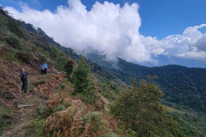 Volledige dag privétour Sierra Nevada met vervoer