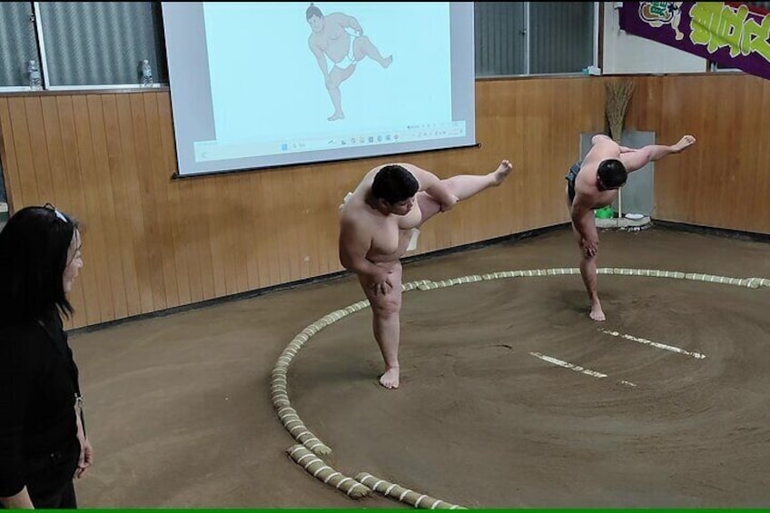 Complete Sumo Experience in Tokyo