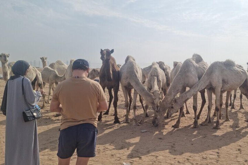 Full Day Kuwait City Guided Tour with Car and Free Wifi