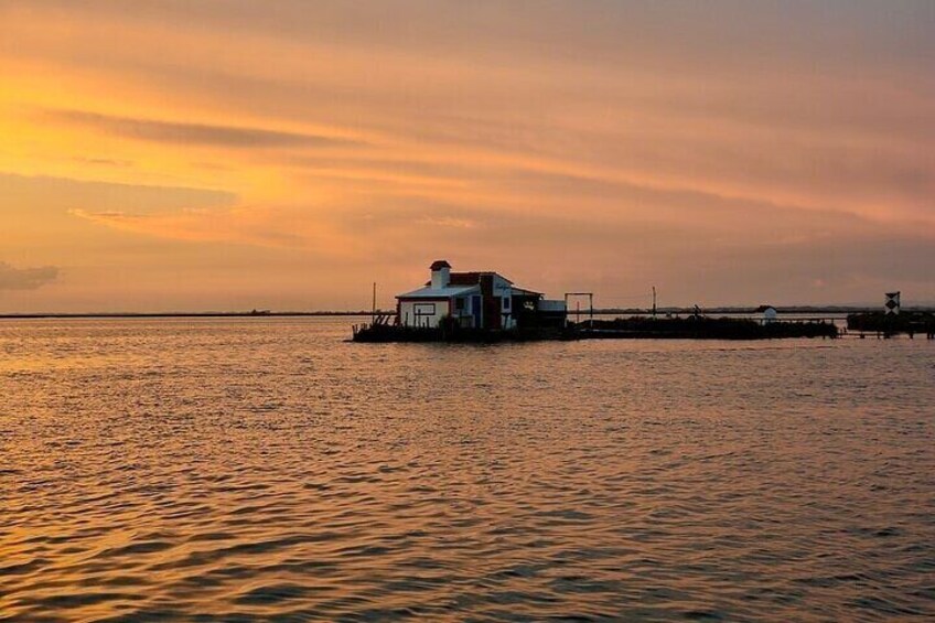 Boat tour of the highlights of the Ria
