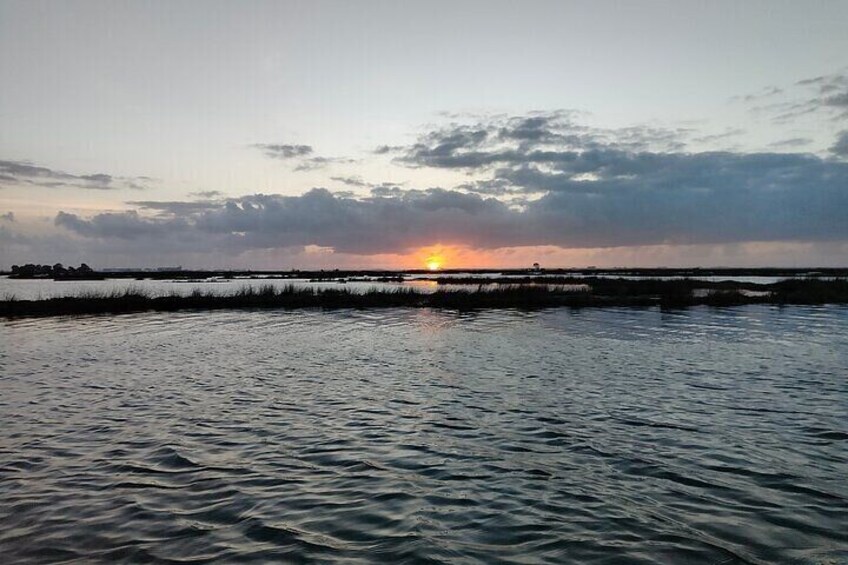 Boat tour of the highlights of the Ria