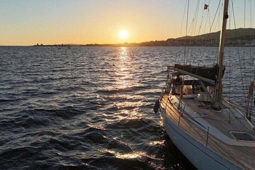 Holistic Day Charter