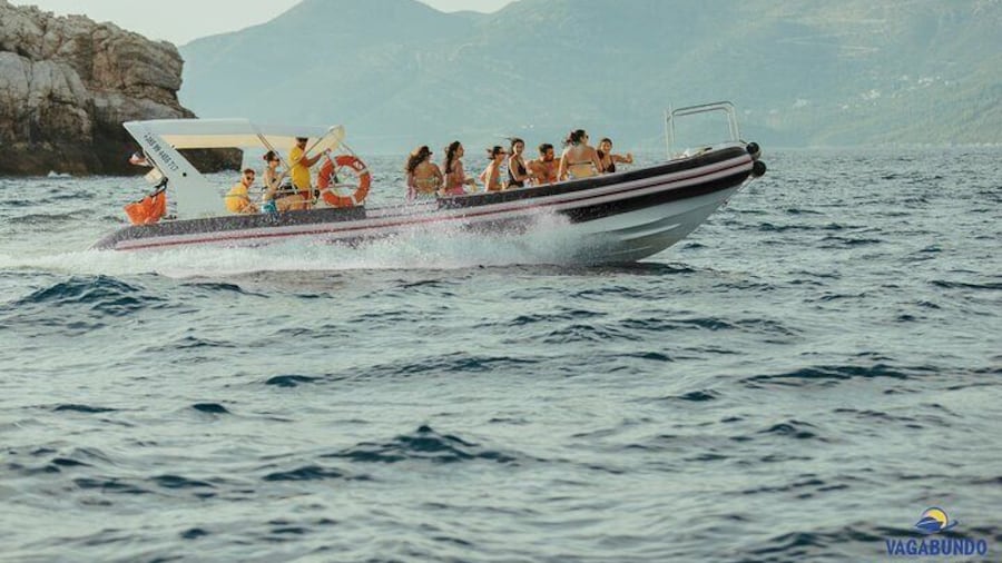 8 Hour Private Sea Safari Speedboat Dubrovnik