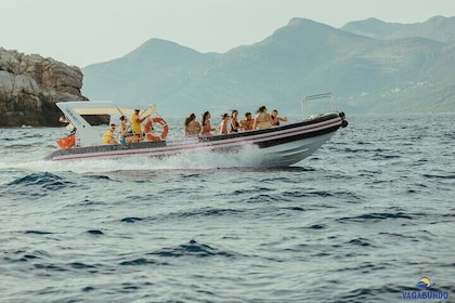8 Hour Private Sea Safari Speedboat Dubrovnik