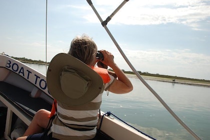 5 Days Birdwatching in Tavira and Ria Formosa