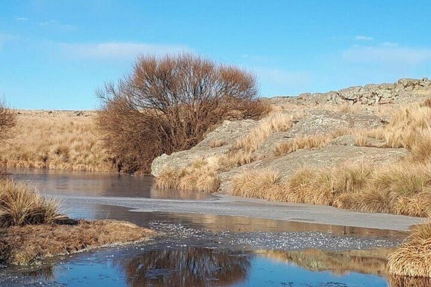 Winter landscape