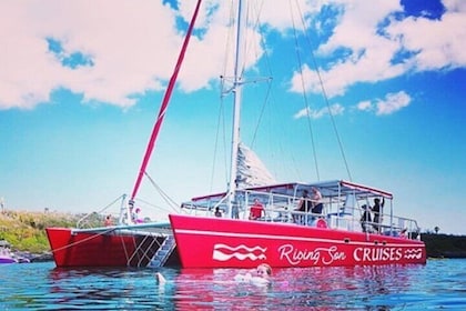 Hamilton Rising Son Catamaran Adventure