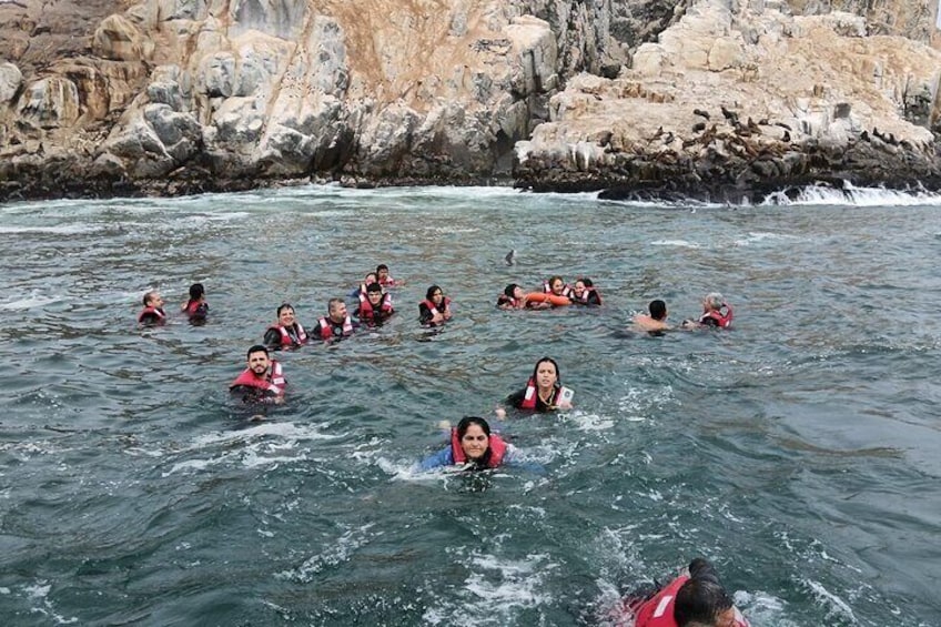 during the main activity