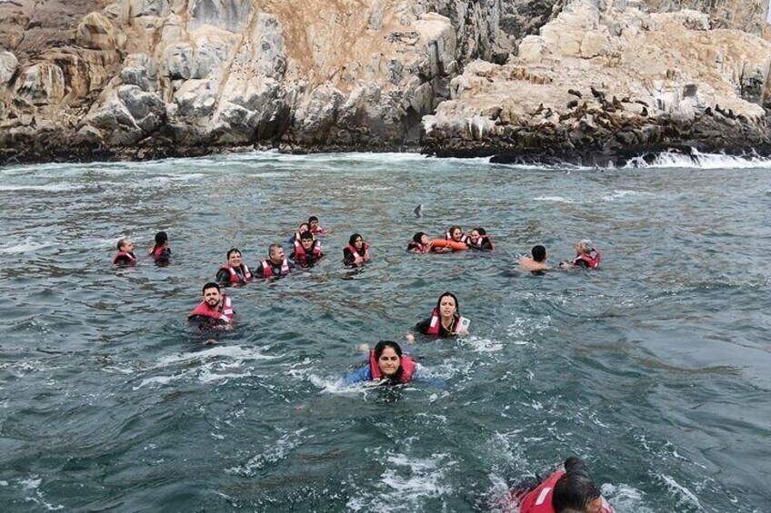 during the main activity