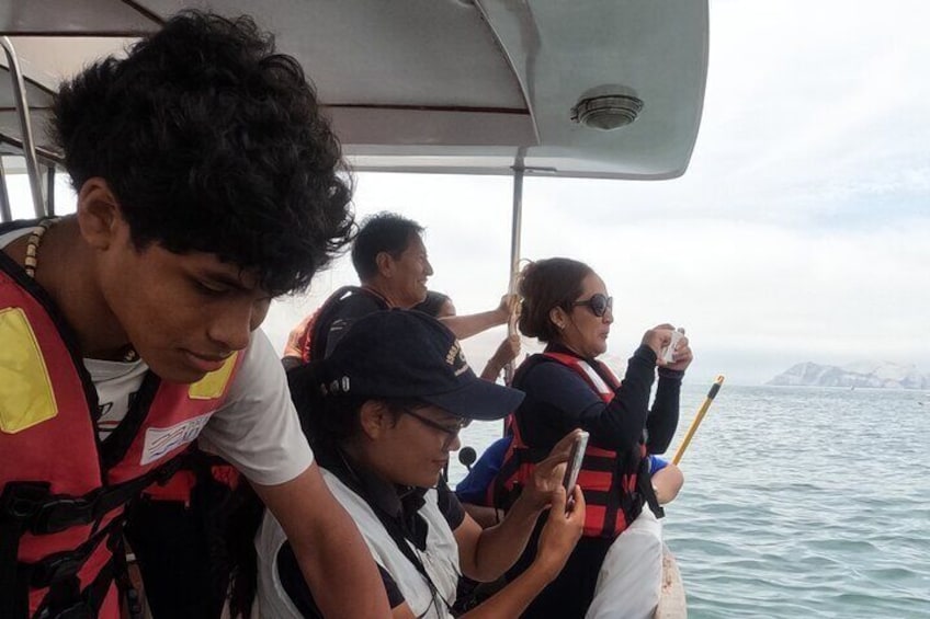 before entering a swim with sea lions