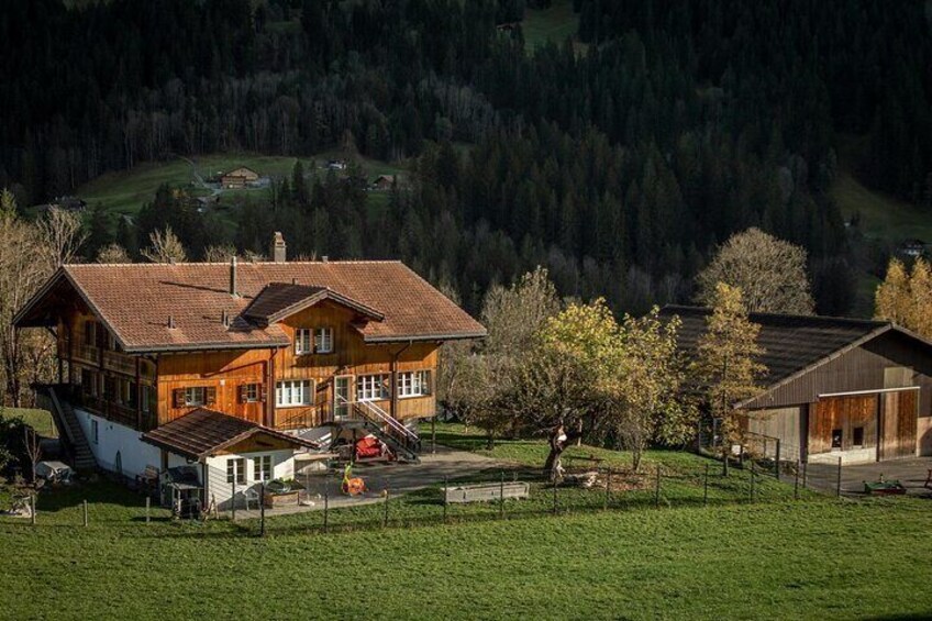 Grindelwald and Lauterbrunnen Valley 10 Hour Trip from Zurich