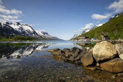 Tromsø : Tour de aventura en fiordo con vida silvestre y almuerzo