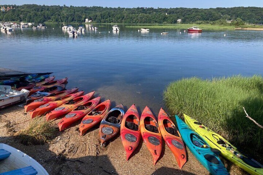 1 Hour Guided Kayak Tour in Cold Spring Harbor NY