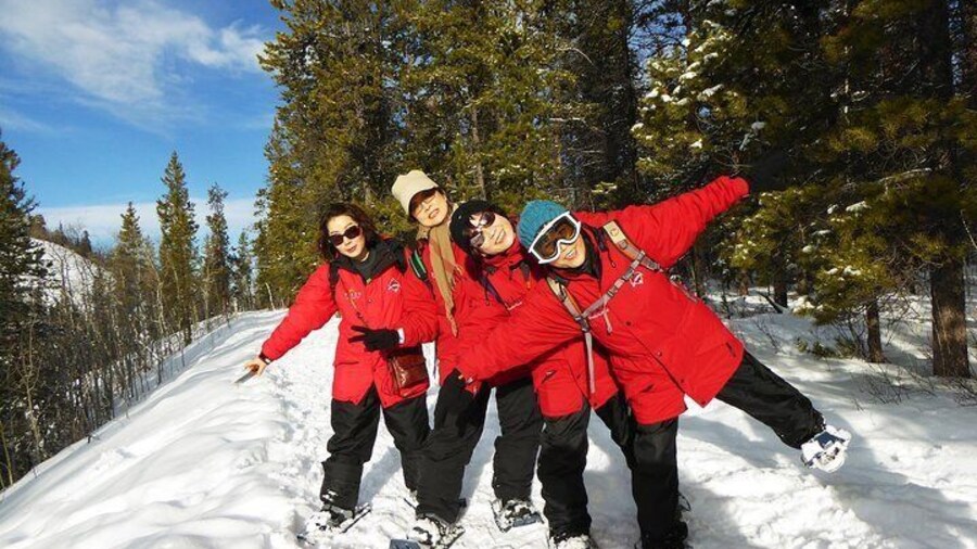 Discover Yukon's Winter Scenery