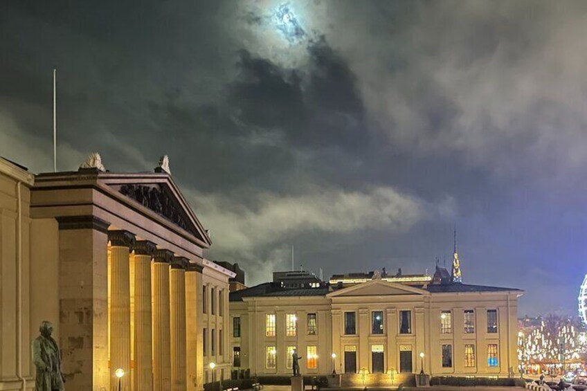 Oslo All Inclusive Private Tour