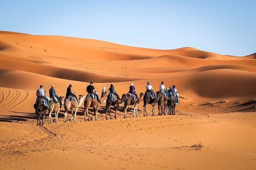 Explore Moroccan Culture with 4 Day Dessert Odyssey from Fez