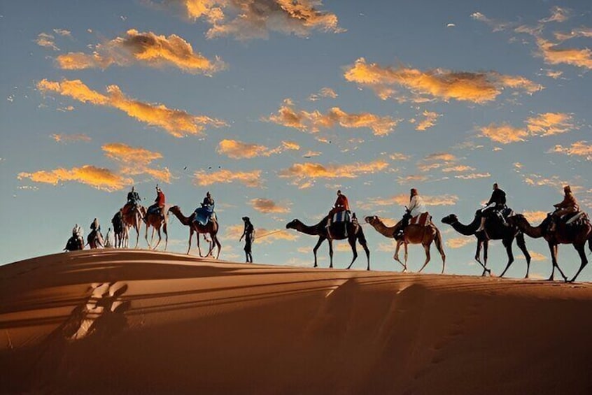 Explore Moroccan Culture with 4 Day Dessert Odyssey from Fez