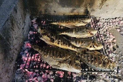 Oysters & AUTHENTIC boat tour & Wine with GOURMET LUNCH in price