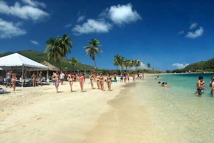 Ken's Beach Hopping Excursion