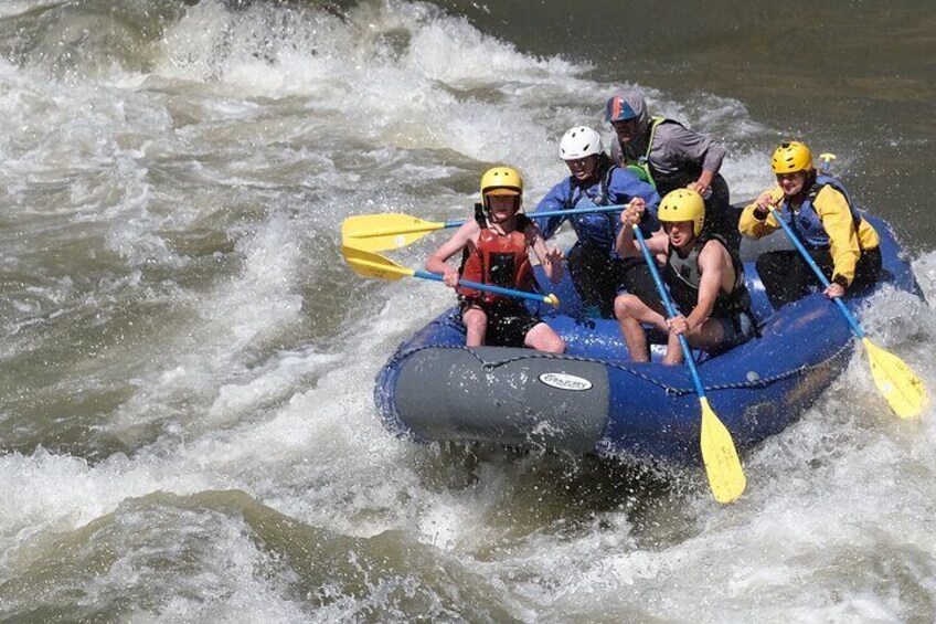 Whitewater Rafting the Salmon River - Half Day