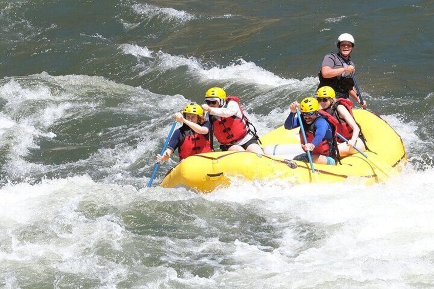 Whitewater Rafting the Salmon River - Half Day