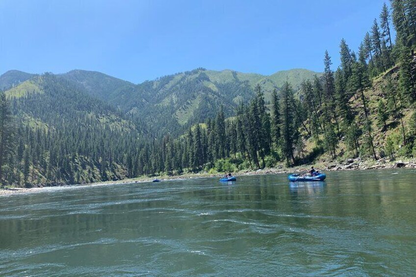 Half Day Salmon River Rafting Experience