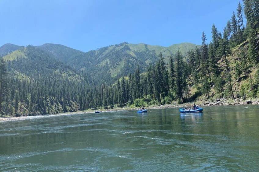 Half Day Salmon River Rafting Experience