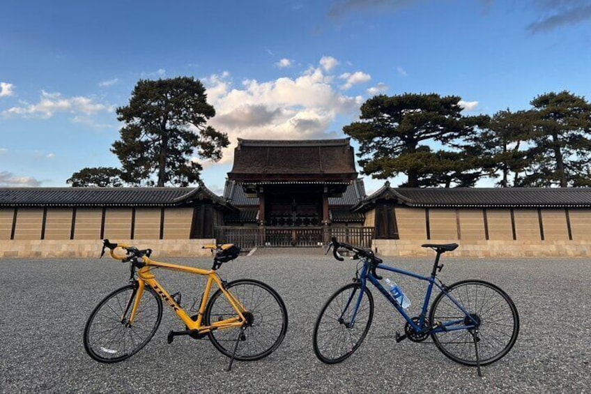 Kamogawa River Kyoto Bike Tour Experience