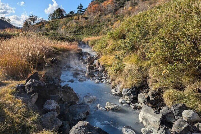 Volcanic Wonders & Scenic Trails