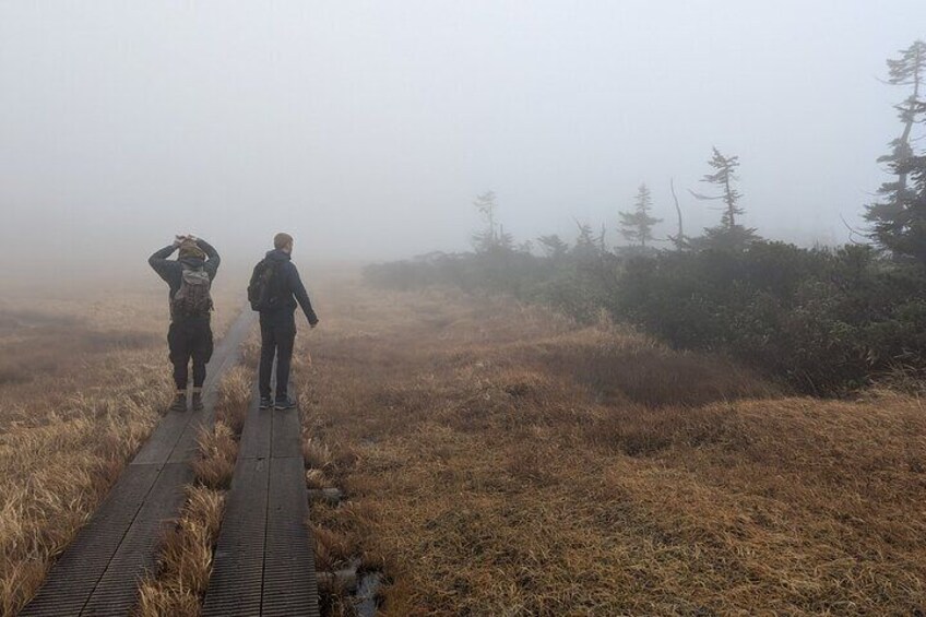 Volcanic Wonders & Scenic Trails